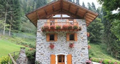 Unique chalet in the green Trentino, with sauna and private forest, ideal for relaxation.