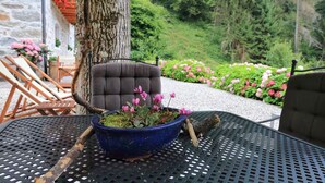 Une table avec un pot de fleurs, une chaise et une vue sur une colline boisée.
