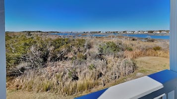 Studio (3 Bedrooms) | Property amenity