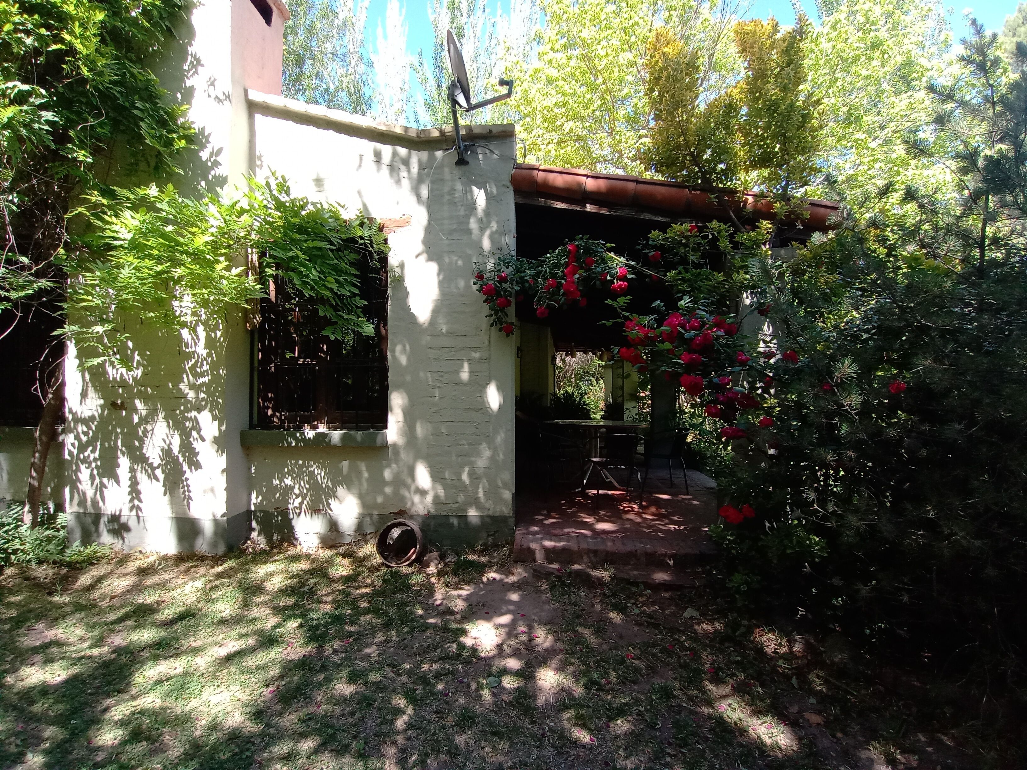 A garden with a white building, a wooden pergola, and red flowers.