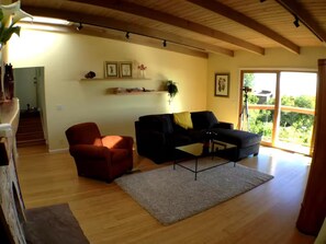 TV, DVD player, books, video library