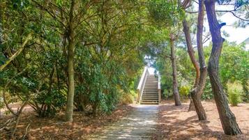 Studio (3 Bedrooms) | Property amenity