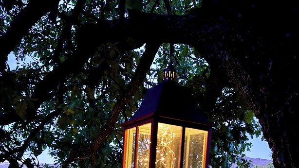 Une lanterne suspendue sous un arbre, entourée d’un chemin de pierres et d’une clôture en fil de fer.
