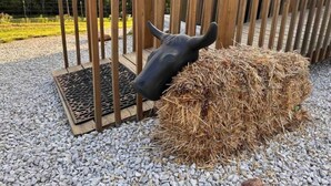A sculpture of a cow's head in a wooden enclosure with a hay bale. - Buffalo River Cowboy Cabin Getaway and HOT TUB! (Compton)
