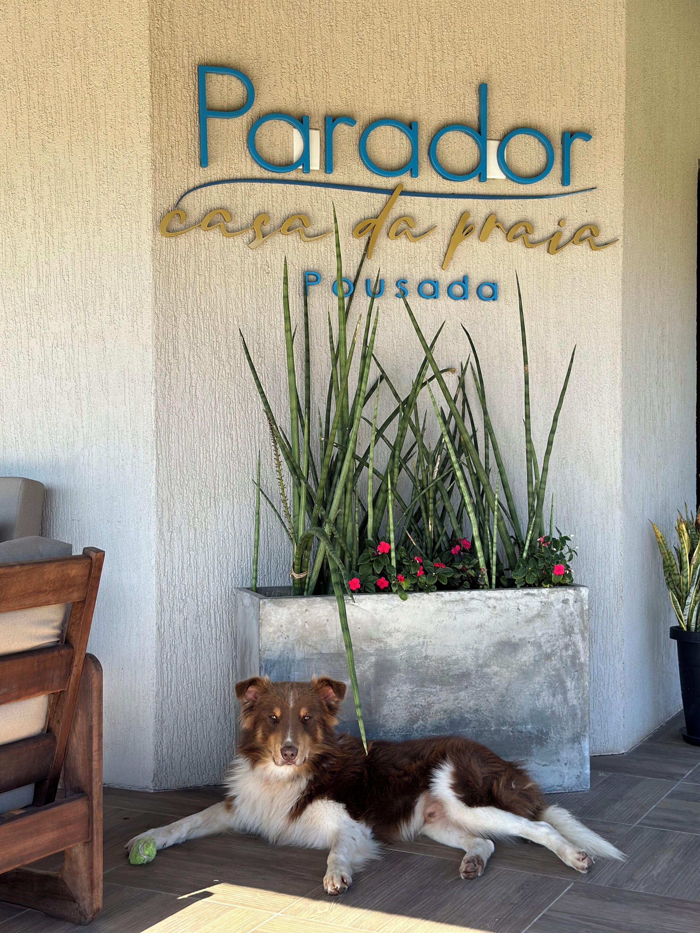 Foto - Parador Casa da Praia