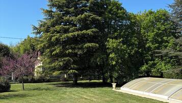 A green lawn, a large tree, and a greenhouse structure.