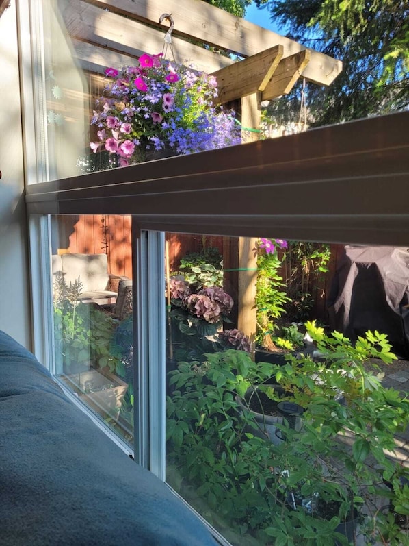 Property grounds - Serene & Comfy Home in Langford (Victoria)