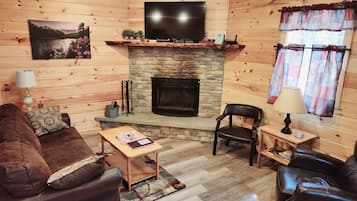 TV, fireplace, DVD player, books