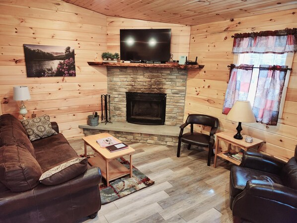 TV, fireplace, DVD player, books