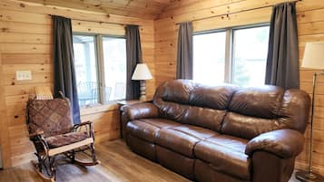 Télévision, cheminée, lecteur de DVD, livres