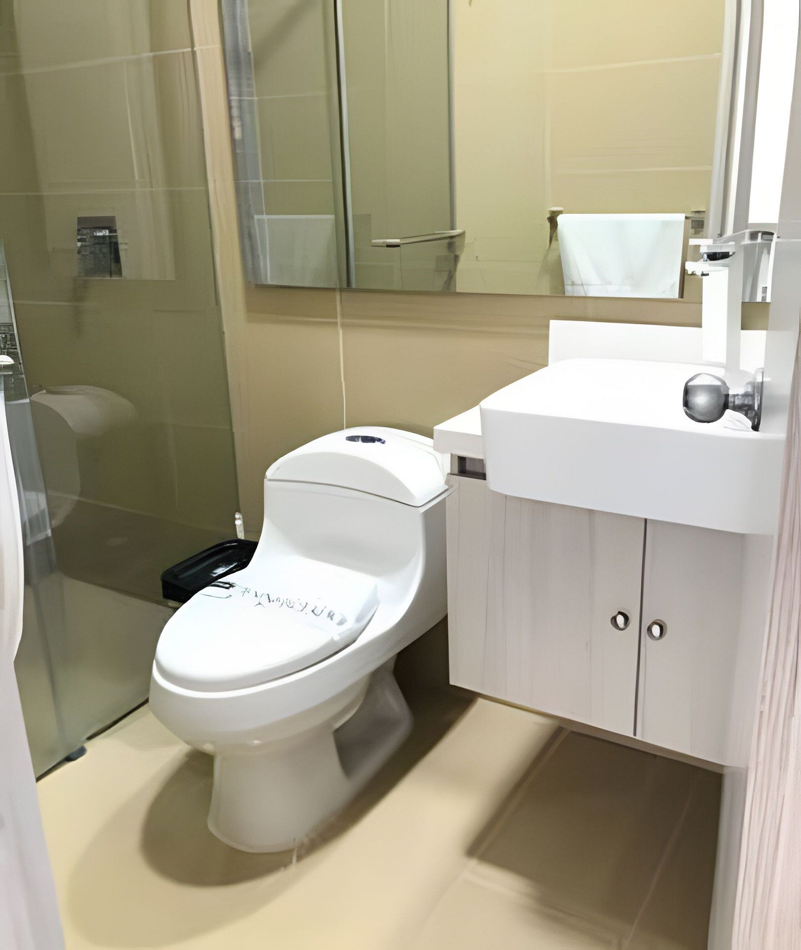 A modern bathroom with a toilet, a sink, and a glass shower enclosure.