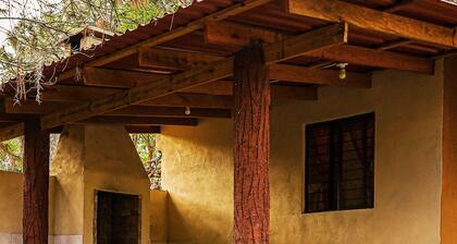 Cabin 2 The Cienega Pine Tree