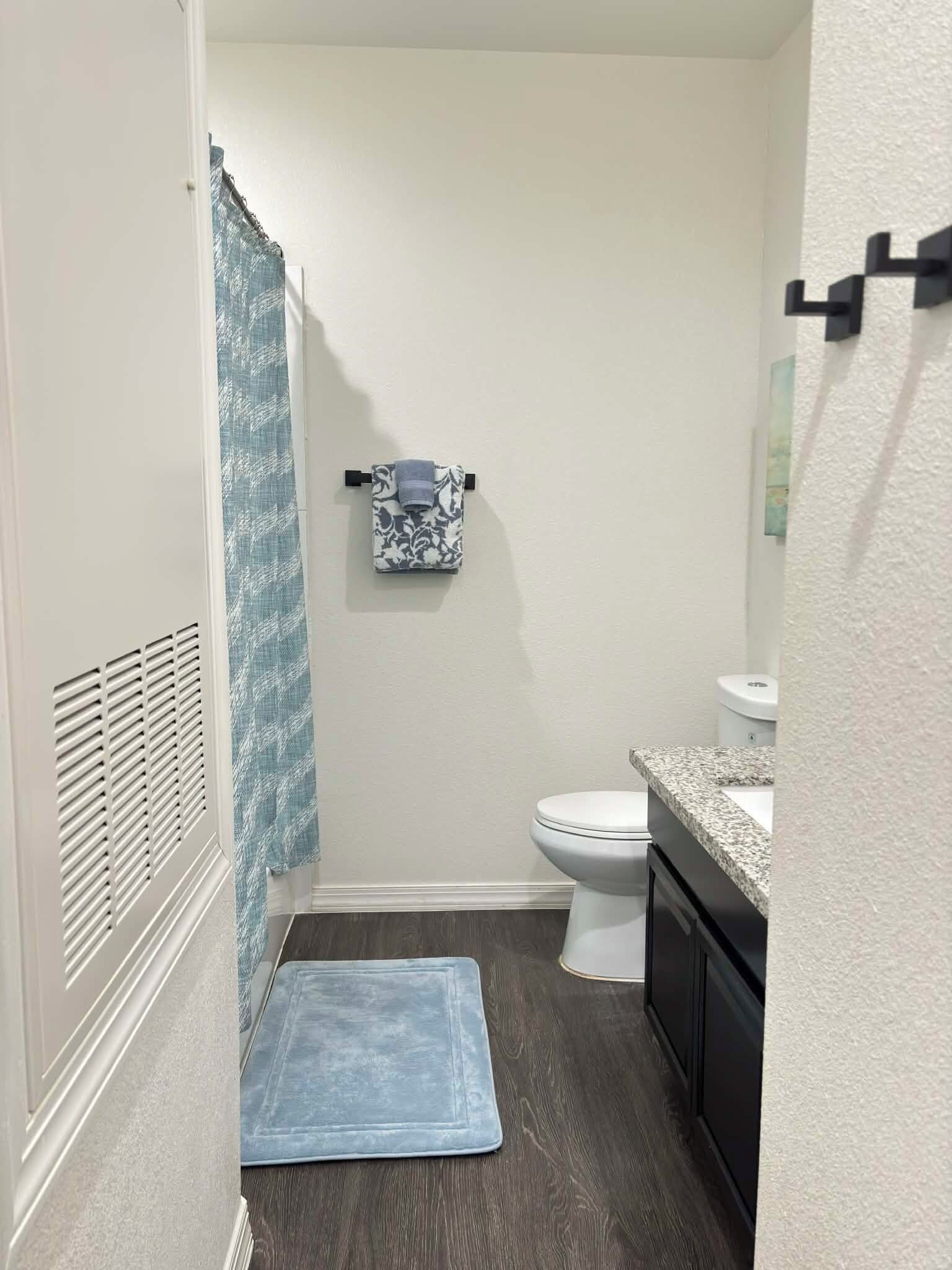 Hair dryer, towels, soap, toilet paper