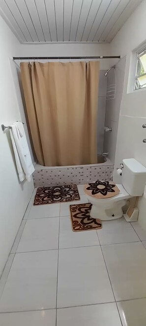 Une salle de bain avec une douche, des toilettes et un porte-serviettes.