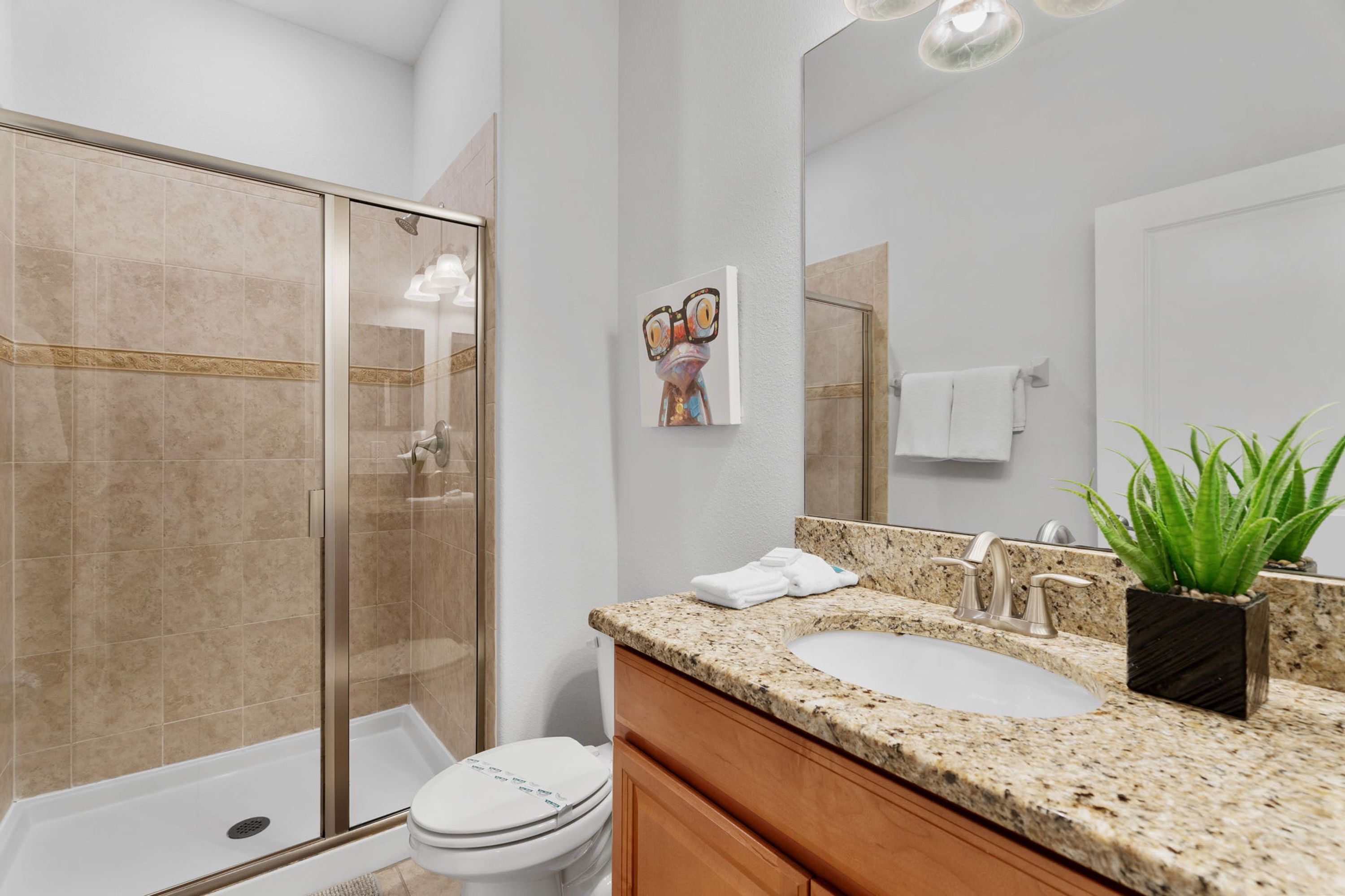 A modern bathroom with a glass shower enclosure, a sink with a granite countertop, and a potted plant.