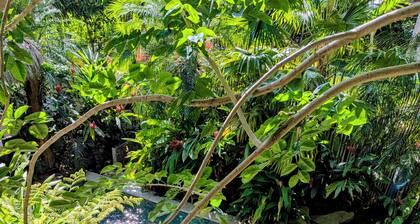 Dufigati villas Casa Anna Apart #2