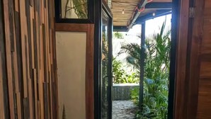 Un couloir étroit, avec un mur en bois d’un côté et un chemin de pierre menant à un espace extérieur agrémenté de plantes.