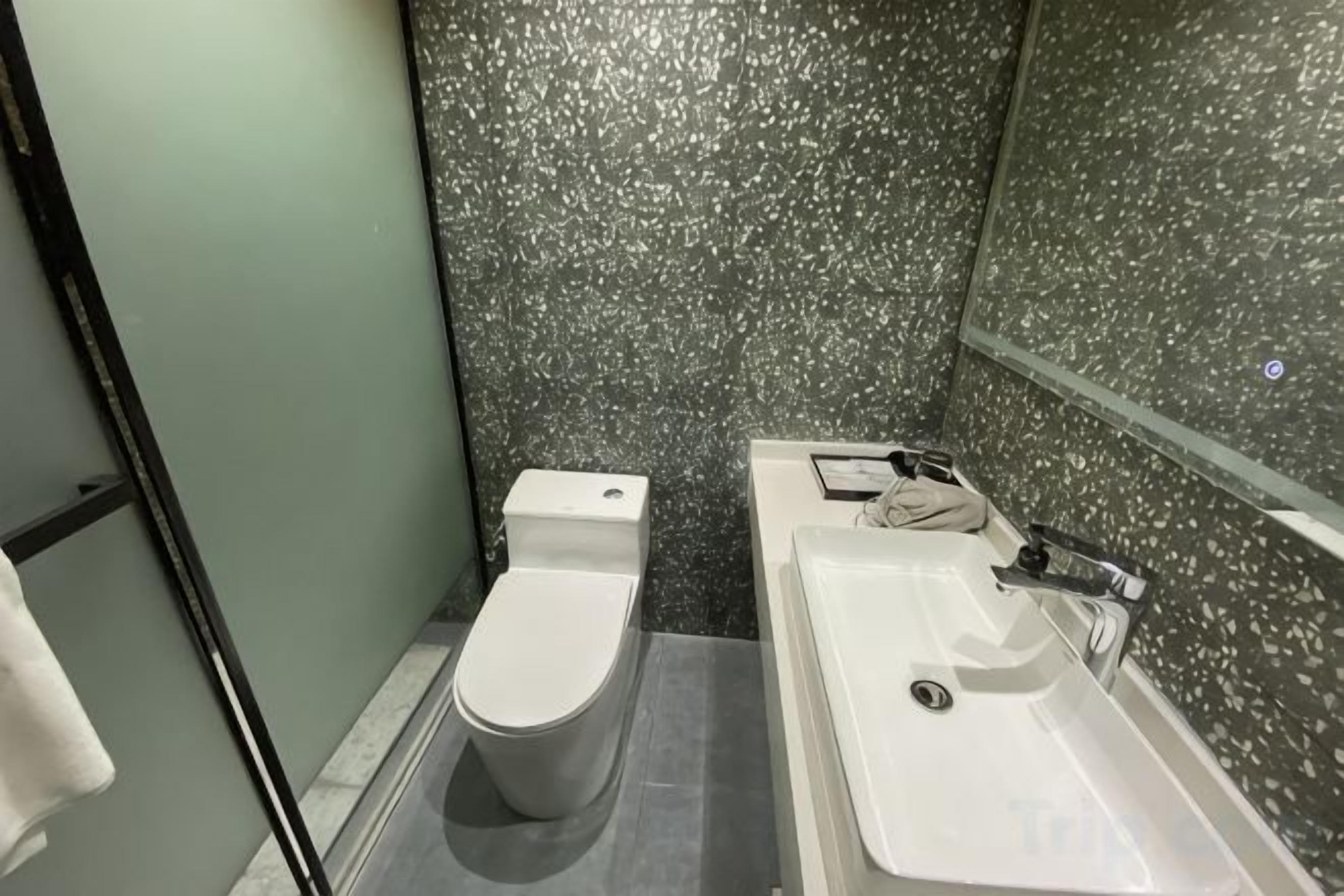 A bathroom with a toilet, a sink, and a mirror.