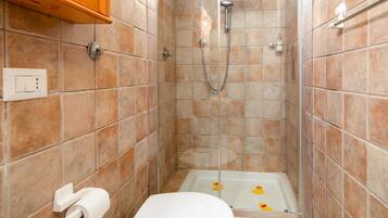 Douche, articles de toilette gratuits, sĂšche-cheveux, bidet