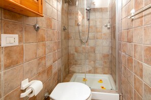 Dusche, kostenlose Toilettenartikel, Haartrockner, Bidet