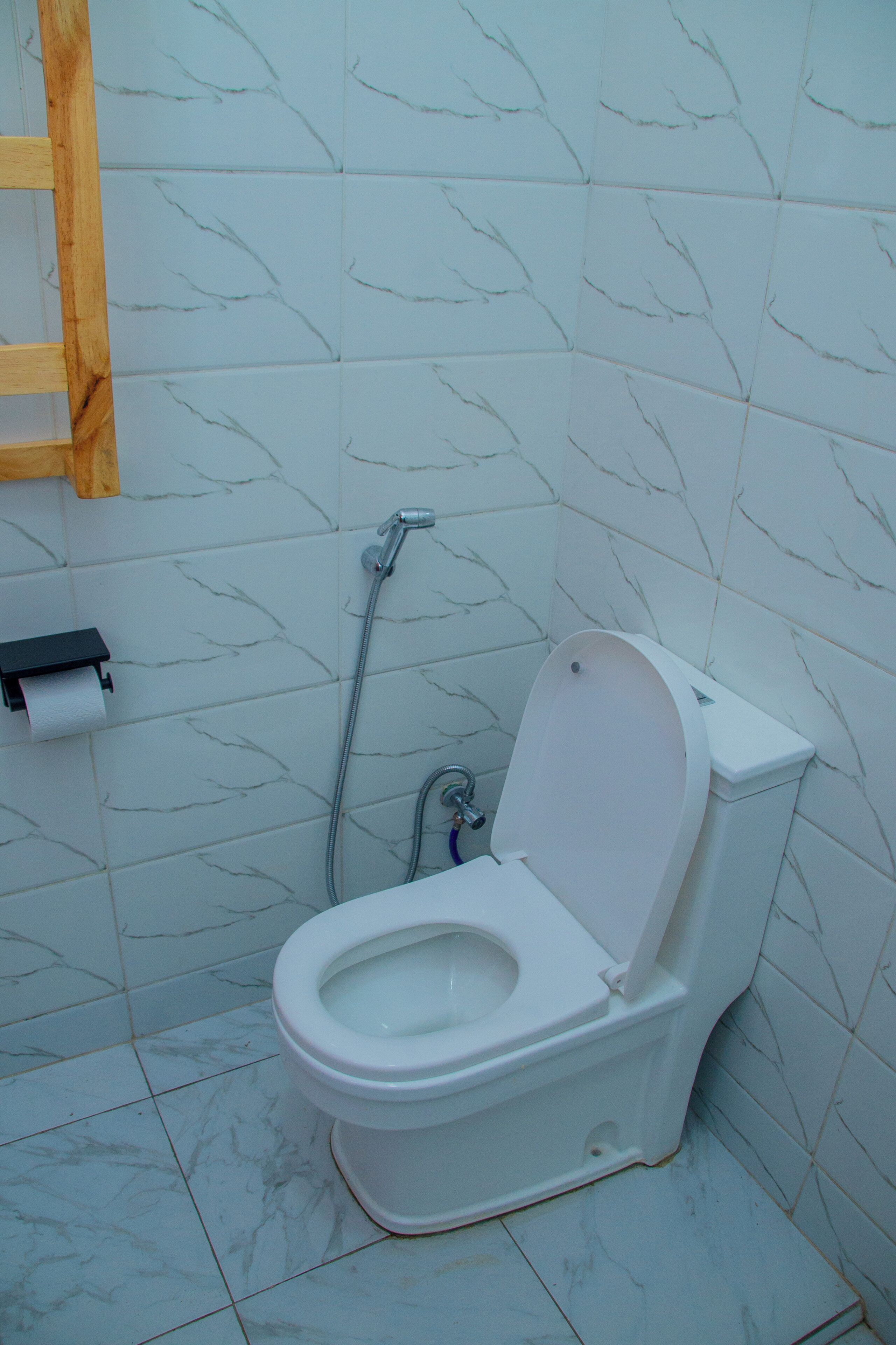 Casa de banho com sanita, chuveiro e suporte para papel higiénico.