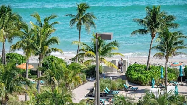 A beach resort with palm trees, a pool, and a view of the ocean. - Chic and modern 1-bedroom apartment with 0cean view, WiFi in vibrant Hollywood (Hollywood)