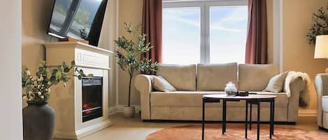 Smart TV, fireplace, books