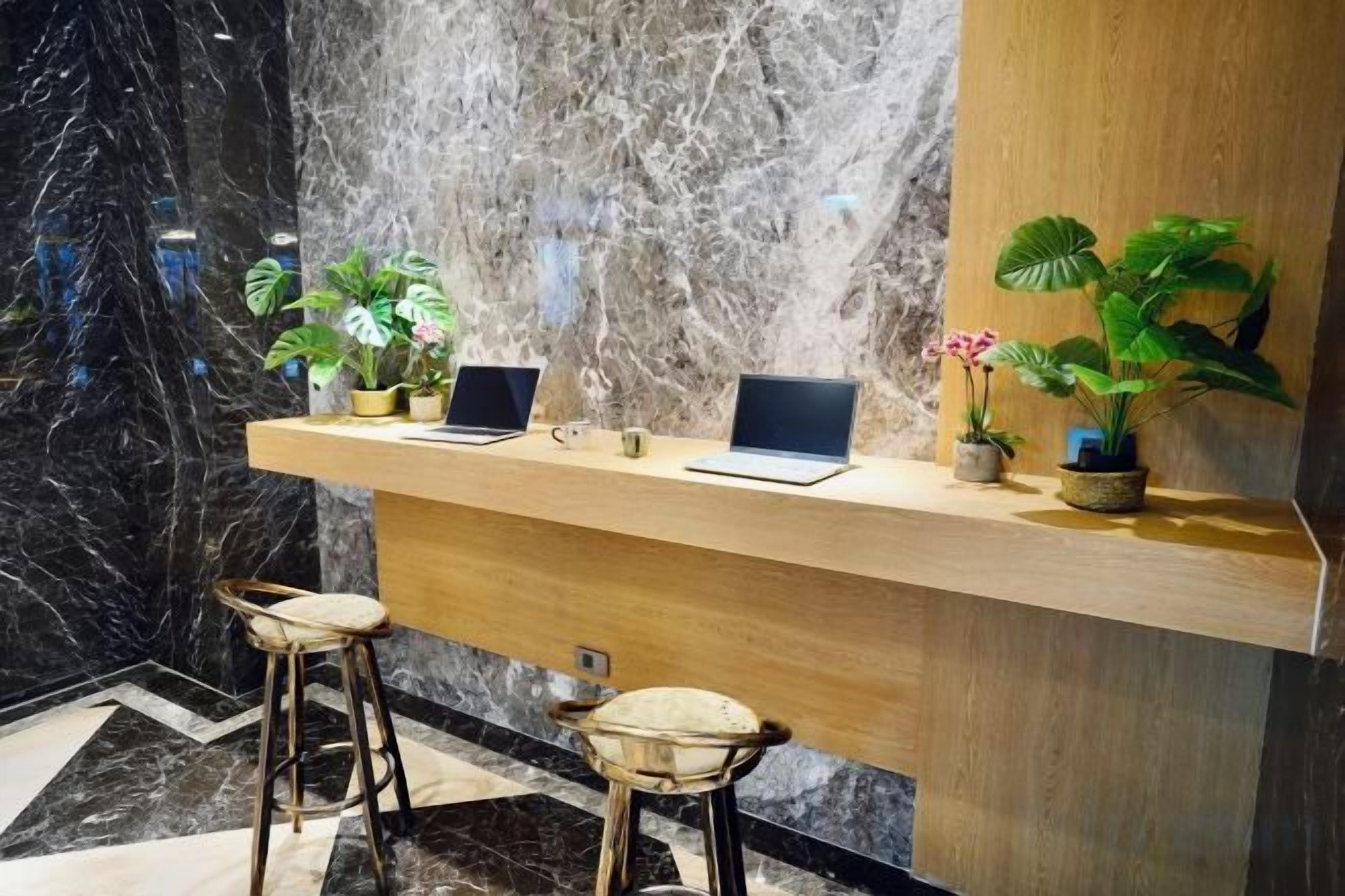 A reception desk with two laptops, a potted plant, and two bar stools.