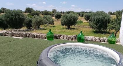 Tipica Masseria immersa nel verde e tra ulivi secolari.animali domestici ammess