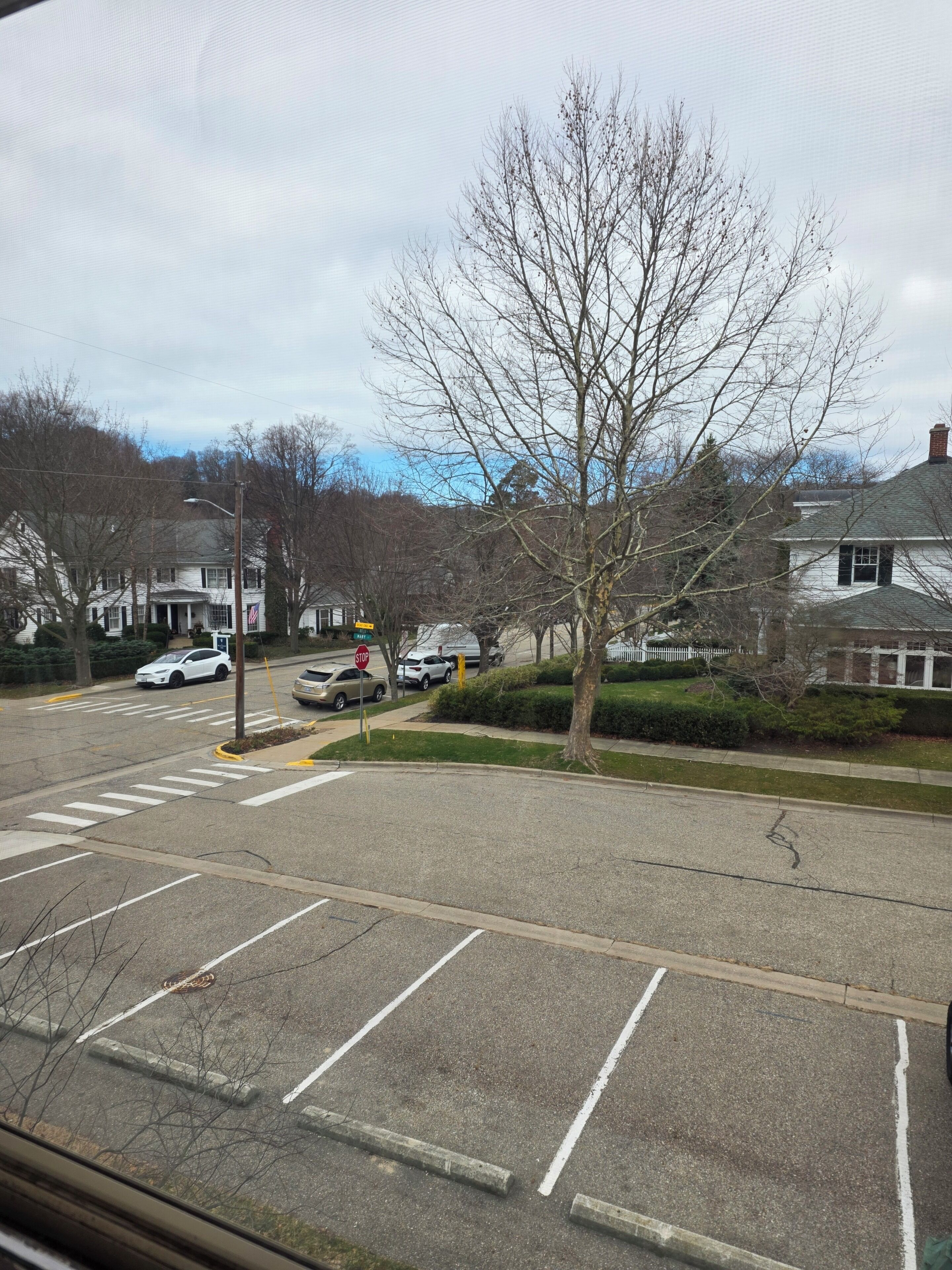 A parking lot with marked spaces, a stop sign, and a street view with houses and trees.