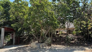 A garden area with trees and a concrete planter. - El Mangal B&B (Suchitoto)