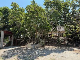 Estacionamento grátis sem manobrista