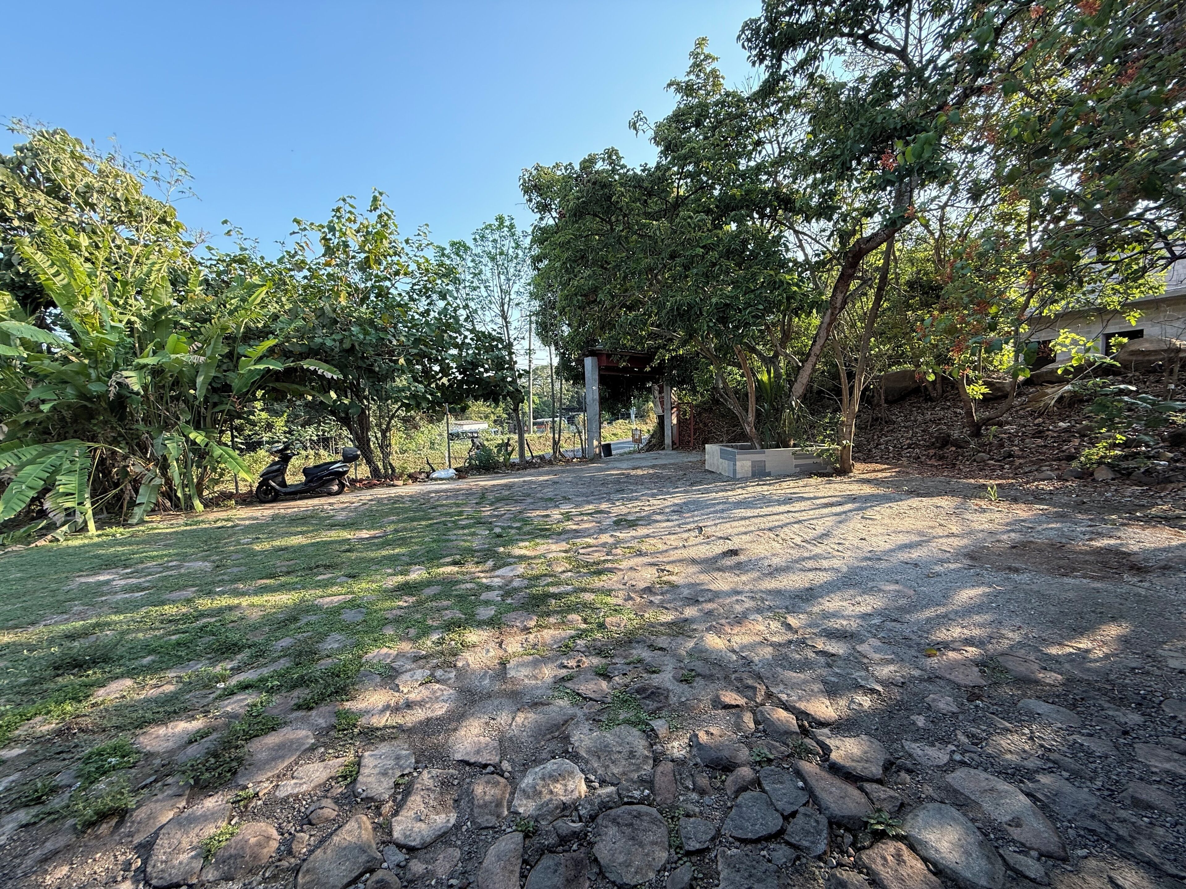 Um pátio pavimentado com lajes de pedra, rodeado por vegetação exuberante e árvores.
