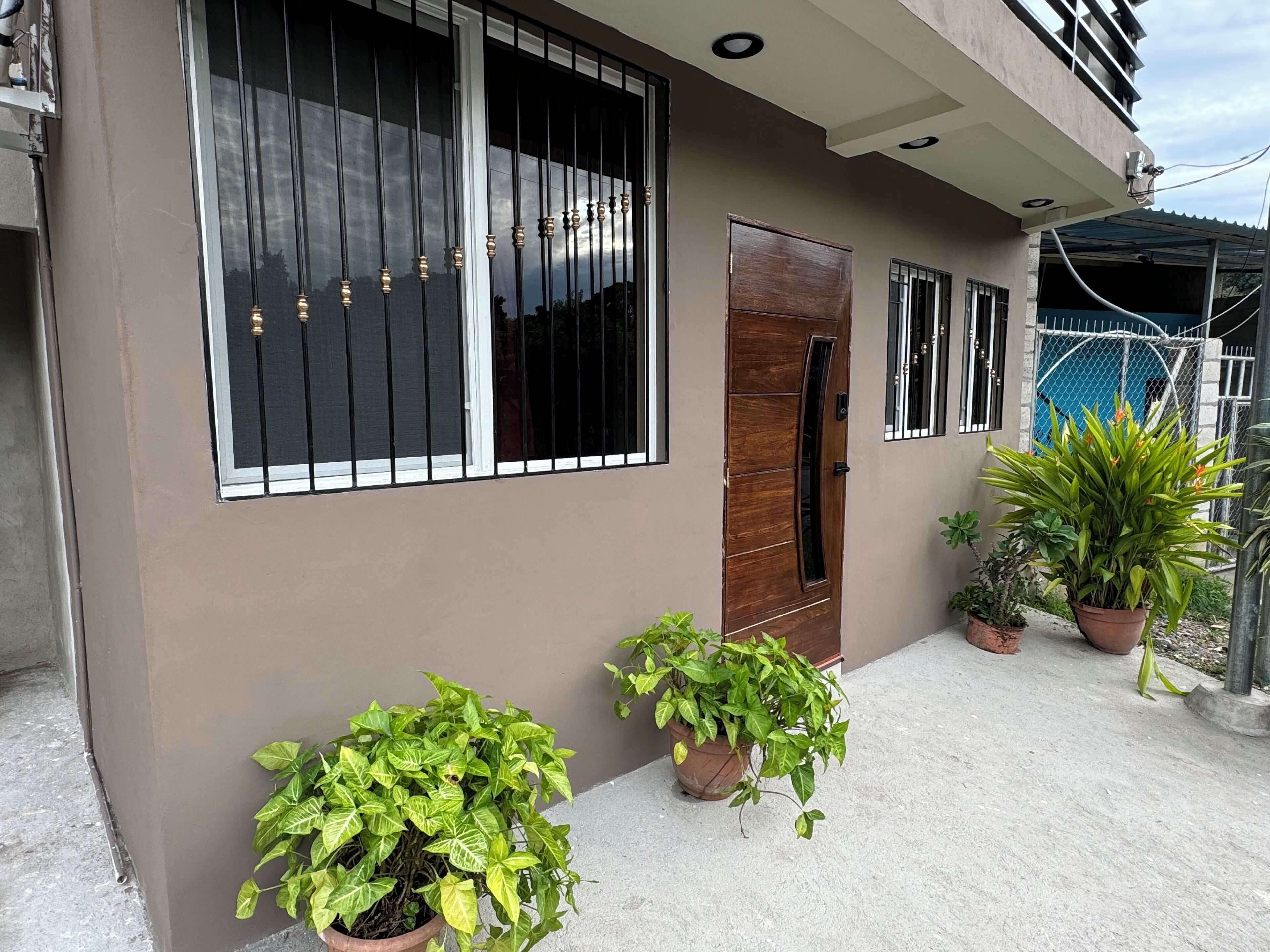 A modern building with a large window, a wooden door, and potted plants.