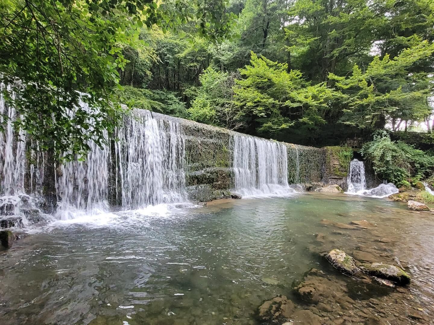 Uma cascata despenca sobre um afloramento rochoso em uma piscina cristalina, rodeada por vegetação exuberante.