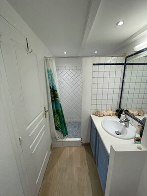 A bathroom with a shower, a sink, and a mirror. - Beautiful apartment with sea view (Marigot)