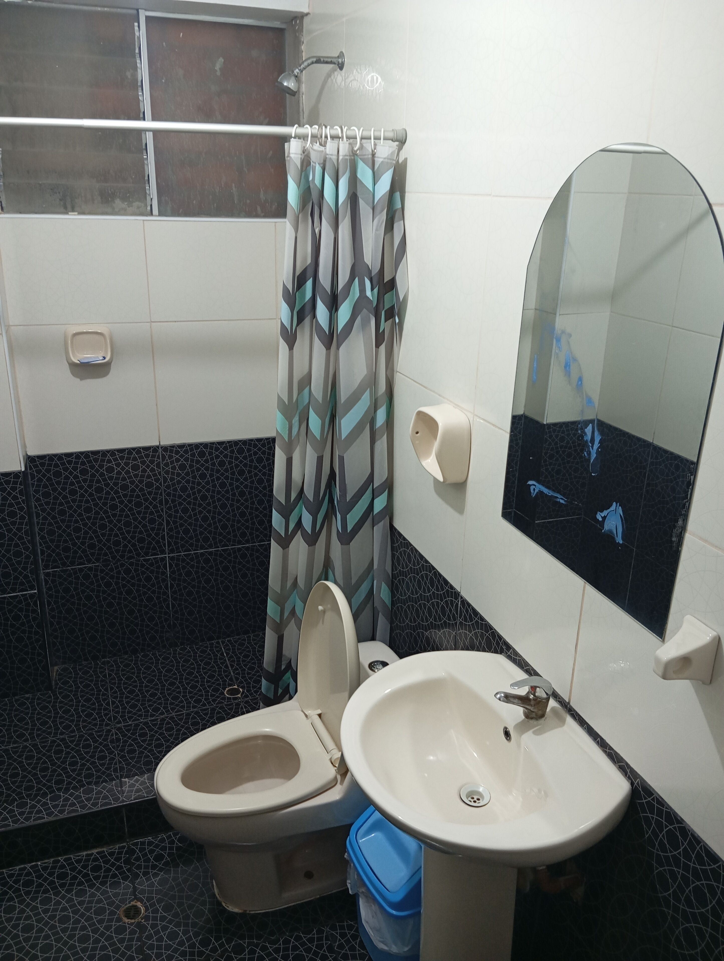A bathroom with a toilet, sink, shower, and a mirror.