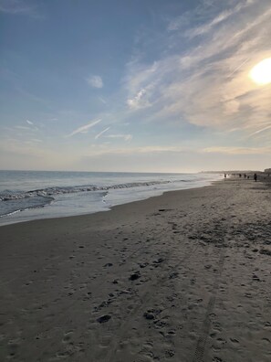 On the beach, sun loungers