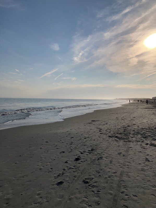 On the beach, sun-loungers - Beachfront 1 BR/1BA Resort Condo w/view. Sleeps 6. Steps from Pool, Ocean! (Hilton Head Island)