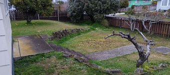 1 Double 1 Sofa Beds Garden Chalet B