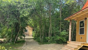 A wooden cabin with a gravel path leading to it, surrounded by dense forest.