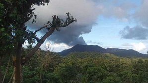 Un paysage de montagne avec une forêt dense au premier plan et un ciel nuageux au-dessus.