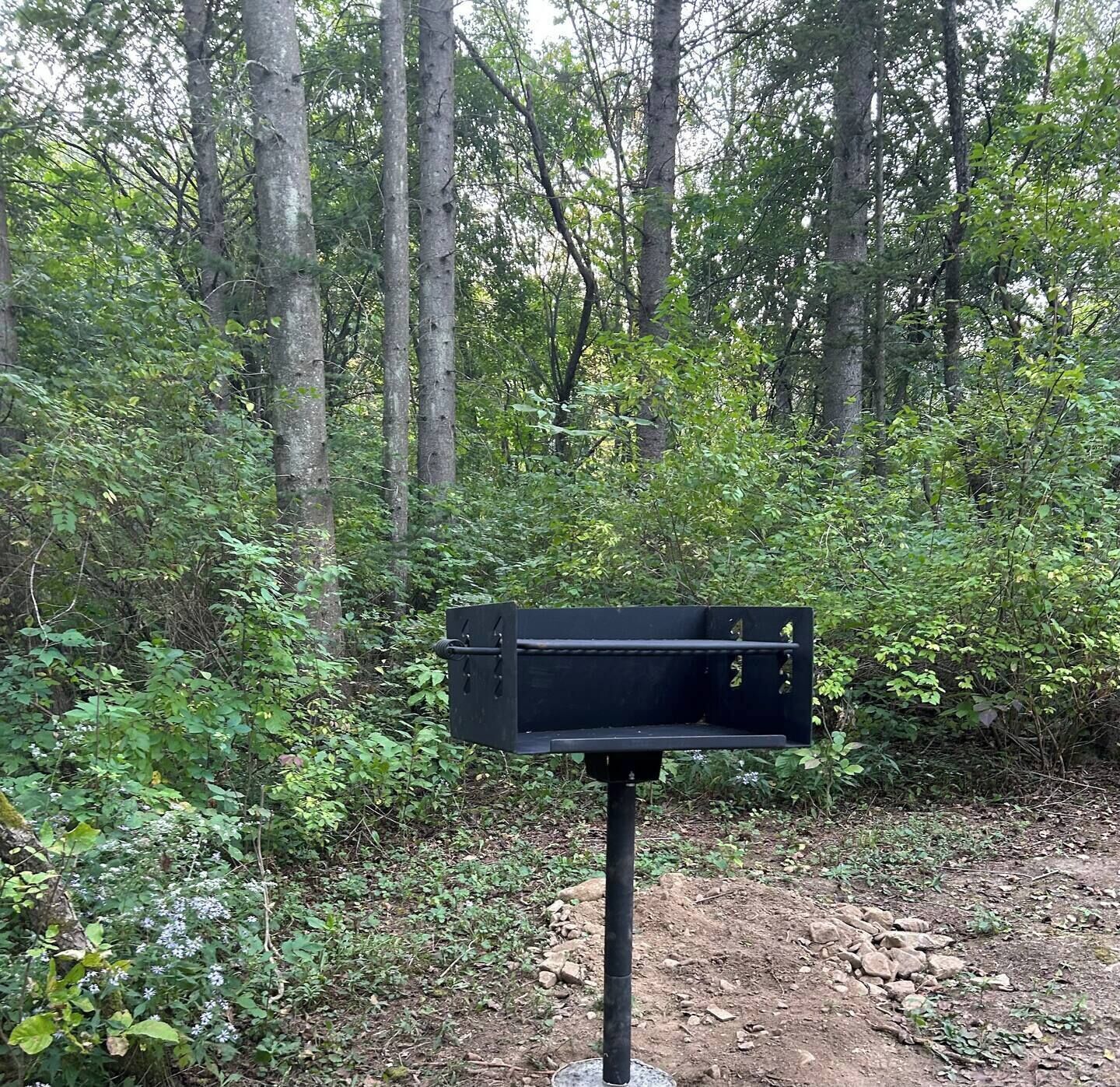 A black mailbox in a forested area with trees and underbrush.