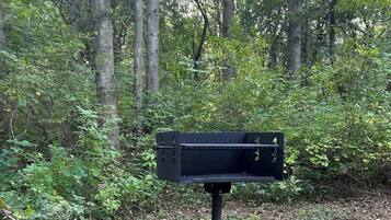 A black mailbox in a forested area with trees and underbrush.