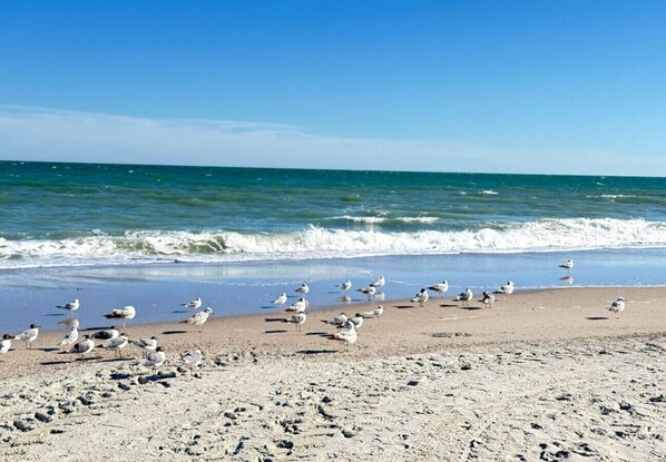 Plage à proximité