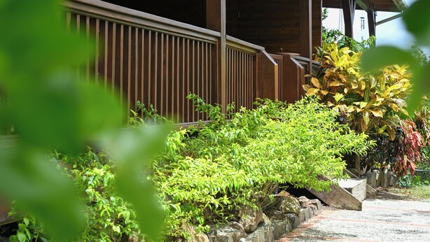 Un bâtiment en bois doté d’un porche abrité, d’un escalier en pierre et de diverses plantes.
