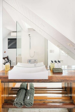 Shower, hair dryer, towels