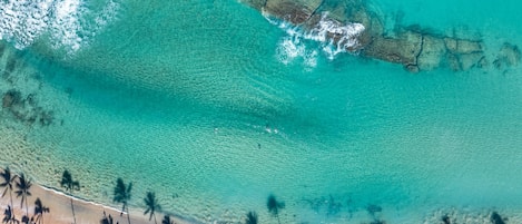 Appartement | 1 chambre, accĂšs Ă Internet haute vitesse