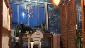 A room with a desk, chair, potted plants, and a window with a view of the night sky. - espiral lar (Florianopolis)