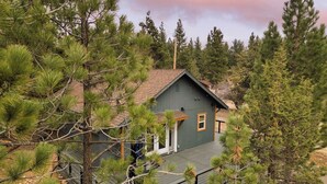 A house surrounded by dense pine trees.